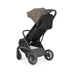 Peg Perego X-Country Pine Bark Pastaigu rati IP35000000MO36RO01